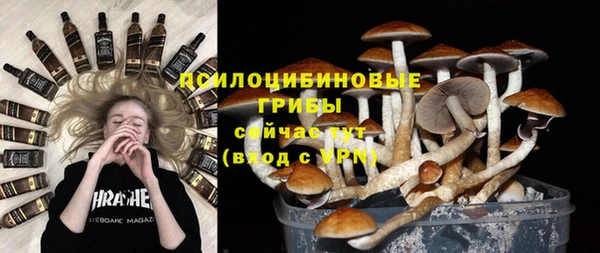 прущие грибы Армянск
