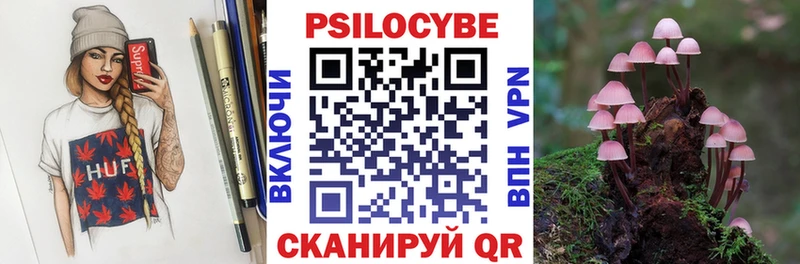 МЕГА зеркало  где продают наркотики  Рудня  Псилоцибиновые грибы GOLDEN TEACHER 