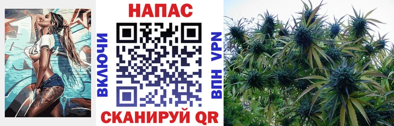 ссылка на мегу ССЫЛКА  где купить наркоту  Рудня  Шишки марихуана план 